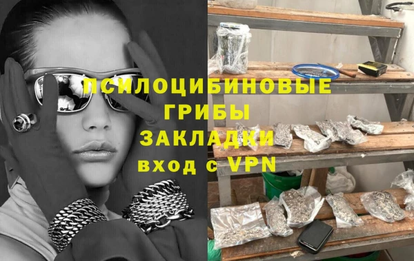 прущий лед Богданович